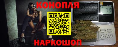 трава Бийск