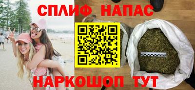 трава Бийск