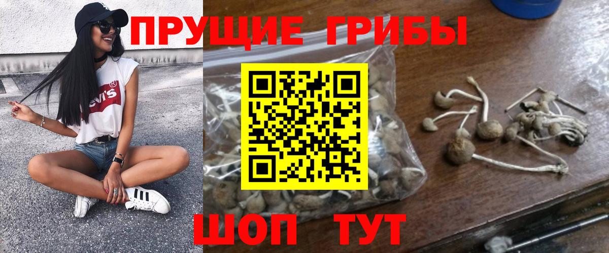 Псилоцибиновые грибы MAGIC MUSHROOMS  Вход с VPN  Долгопрудный 